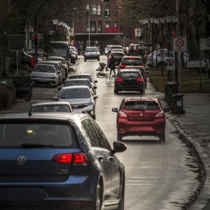 Die Wentorfer Hauptstrasse